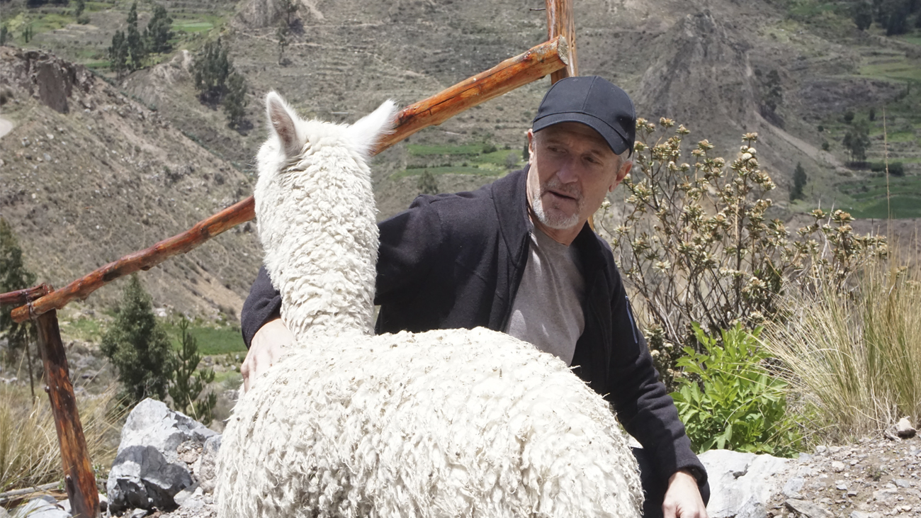 ¿Glaciares o plantaciones de aguacates en Perú?